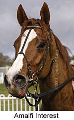 Amalfi Interest (12982 bytes)