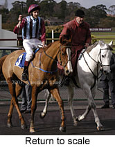 Return to scale (15616 bytes)