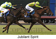 Jubilant Spirit (14969 bytes)