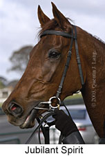 Jubilant Spirit (10924 bytes)