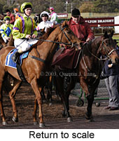 Return to scale (17100 bytes)