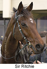 Sir Ritchie (11239 bytes)