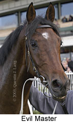 Evil Master (11090 bytes)