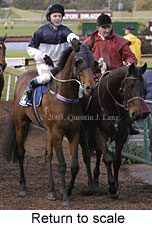 Return to scale (14786 bytes)