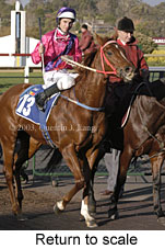 Return to scale (16427 bytes)