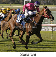 Sonarchi (19501 bytes)