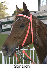 Sonarchi (13220 bytes)