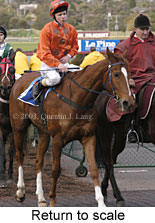 Return to scale (15896 bytes)