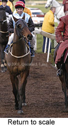 Return to scale (14354 bytes)