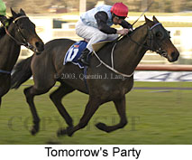 Tomorrow's Party (14002 bytes)