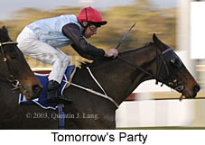 Tomorrow's Party (12287 bytes)
