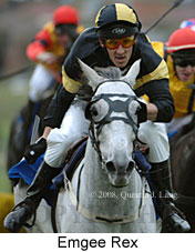 Emgee Rex (14872 bytes)