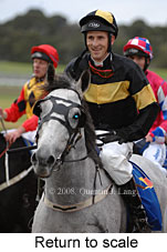 Return to scale (14872 bytes)