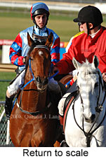 Return to scale (14872 bytes)