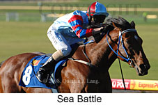 Sea Battle (14872 bytes)