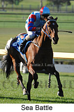 Sea Battle (14872 bytes)