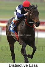 Distinctive Lass (14872 bytes)