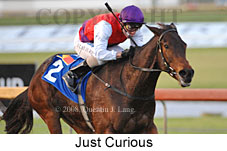 Just Curious (14872 bytes)