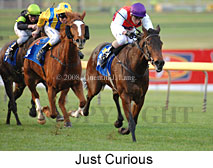 Just Curious (14872 bytes)