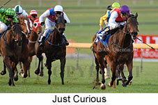 Just Curious (14872 bytes)