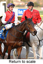 Return to scale (14872 bytes)