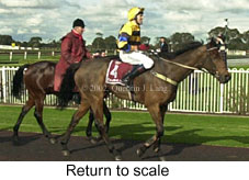 r2rtosc.jpg (15076 bytes)