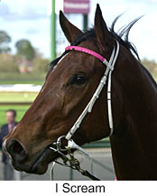 r3iscream2.jpg (11699 bytes)