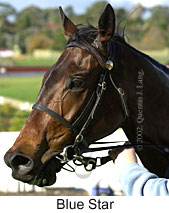 r4bluestar2.jpg (13521 bytes)