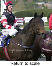 r6rtosc.jpg (14453 bytes)