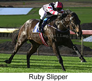 r6rubyslipper.jpg (13370 bytes)