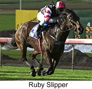 r6rubyslipper2.jpg (14651 bytes)