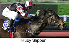 r6rubyslipper3.jpg (13699 bytes)