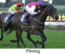 r8filming2.jpg (15286 bytes)