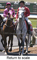 Return to scale (17234 bytes)