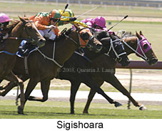 Sigishoara (16774 bytes)