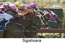 Sigishoara (14613 bytes)