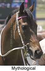 Mythological (11499 bytes)