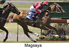 Magsaya (16405 bytes)