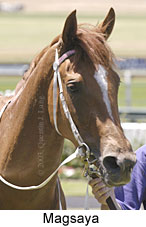 Magsaya (11676 bytes)