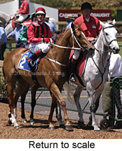 Return to scale (19567 bytes)