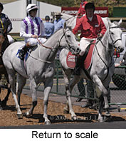 Return to scale (17038 bytes)