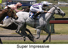 Super Groove (16588 bytes)