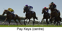 Pay Keys (11853 bytes)