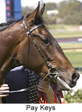 Pay Keys (13879 bytes)