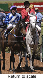 Return to scale (18404 bytes)