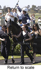 Return to scale (14726 bytes)