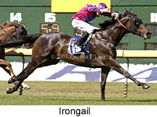Irongail (16958 bytes)