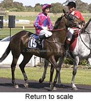 Return to scale (17282 bytes)