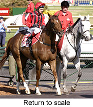 Return to scale (21727 bytes)