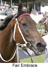 Fair Embrace (15954 bytes)